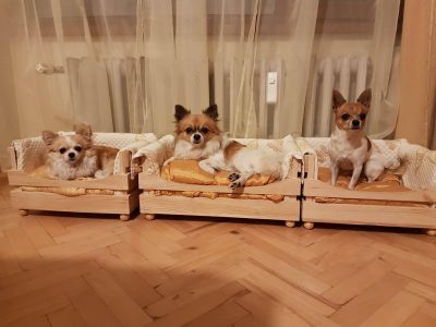 Легло за куче
